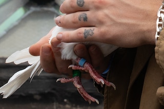 Yung Lean – The Winter Issue 2025