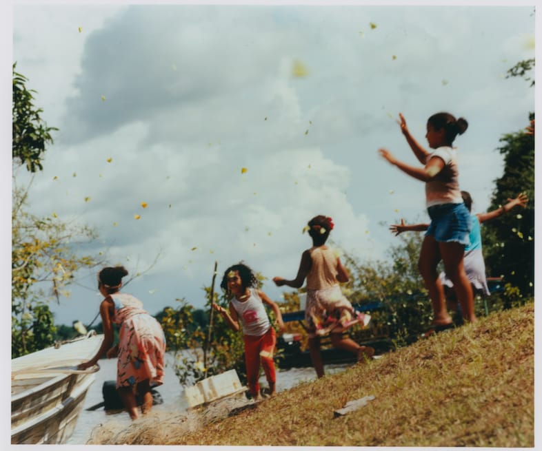 Record Stefan Dotter rainforest book photography